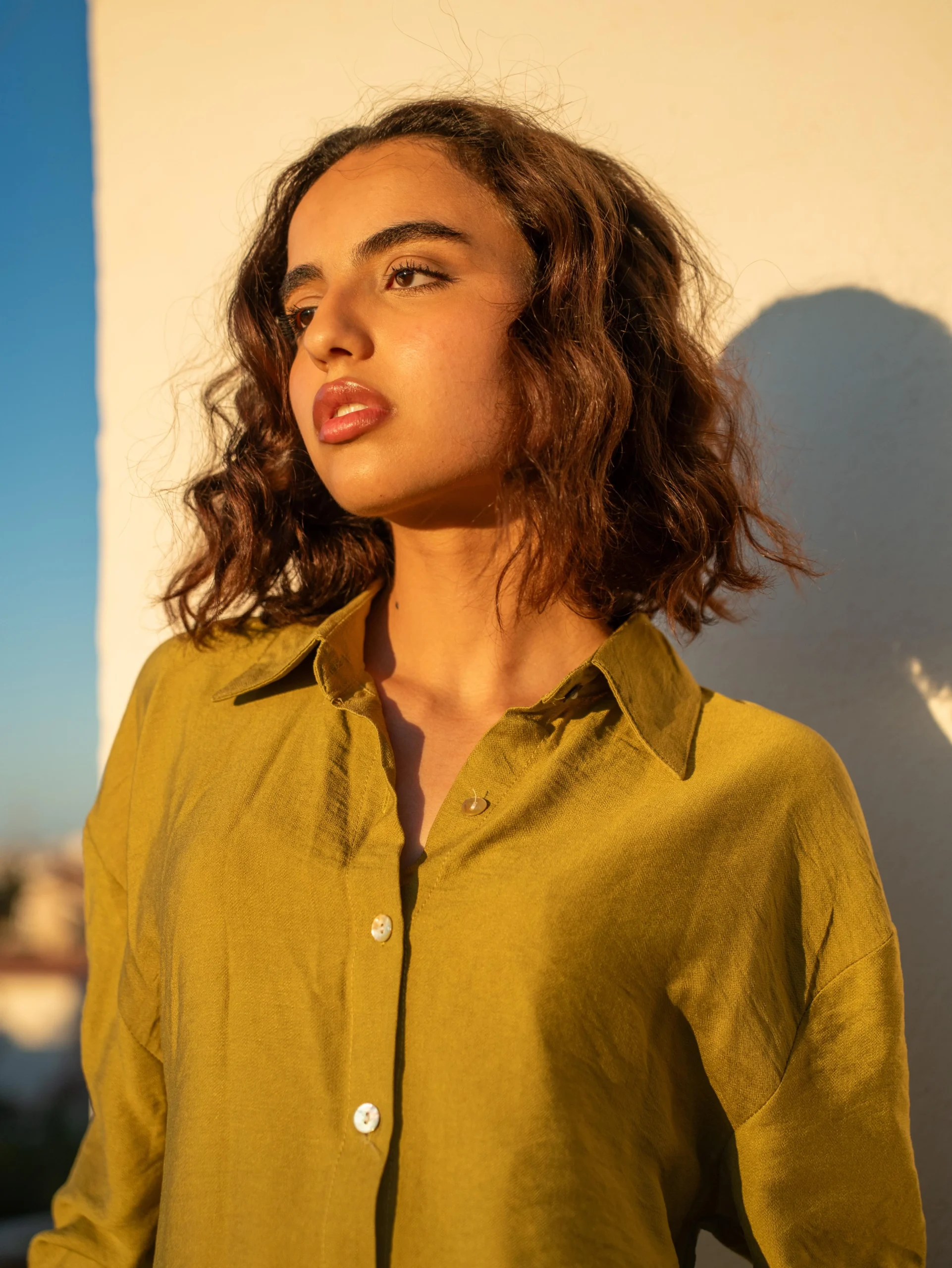 Chrysanthème – Image 7