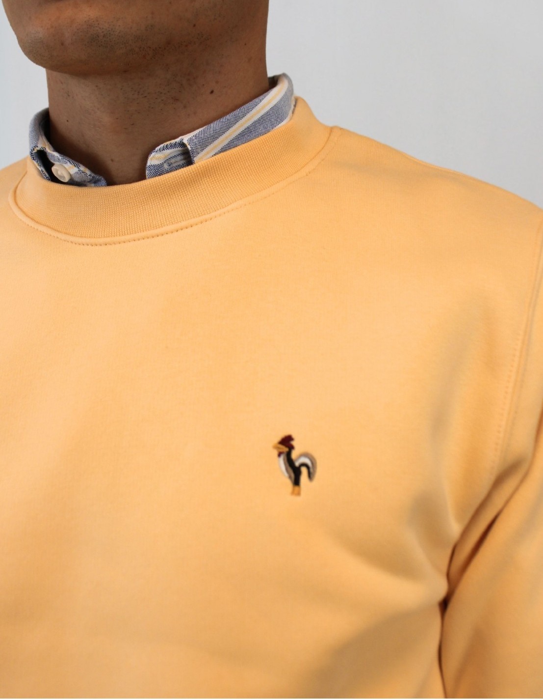 Sweat JULES – Style Décontracté et Confort Écoresponsable – Image 6