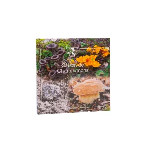 Carnet “Saison de Champignons” – Journal de cueillette 70 sorties & recettes du terroir